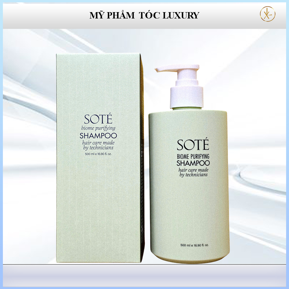 Dầu gội cho tóc gàu và dầu Sote Biome Purifying 500ml/250ml
